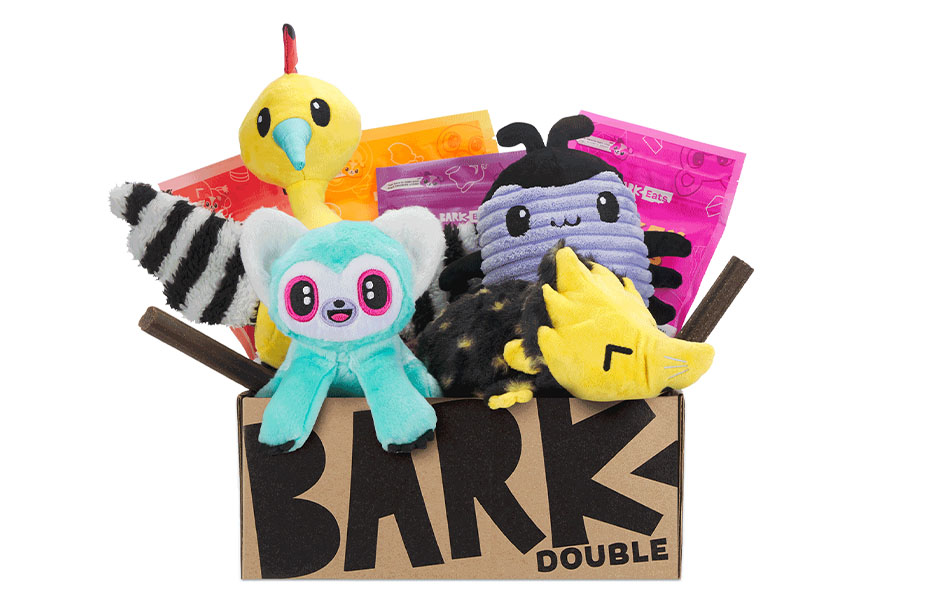 Barkbox double toys best sale